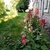 Image-square_50