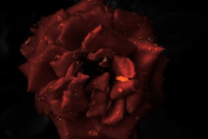 Image-preview_300x200