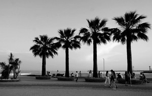 Image-preview_300x200