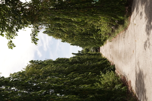Image-preview_300x200