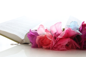 Image-preview_300x200