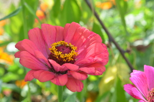 Image-preview_300x200