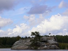 Image-rectangle_220_165
