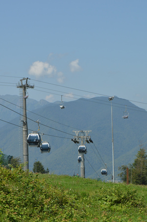 Image-preview_300x200
