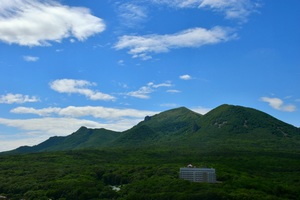 Image-preview_300x200