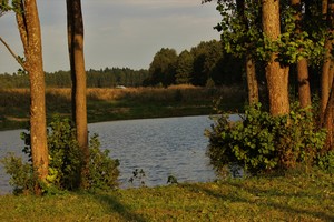 Image-preview_300x200