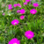 Image-square_50