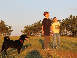 Image-preview_300x200