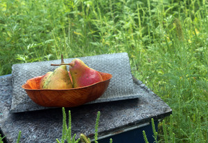 Image-preview_300x200
