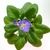 Image-square_50