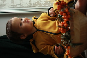 Image-preview_300x200