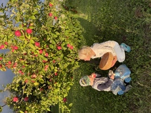 Image-rectangle_220_165