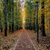 Image-square_50