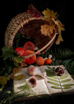 Image-preview_300x200
