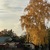 Image-square_50