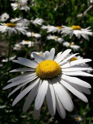 Image-preview_300x200