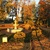 Image-square_50
