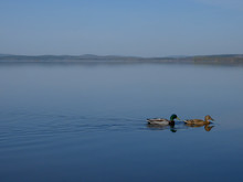 Image-rectangle_220_165