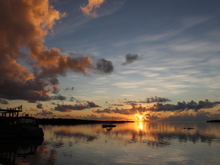 Image-rectangle_220_165