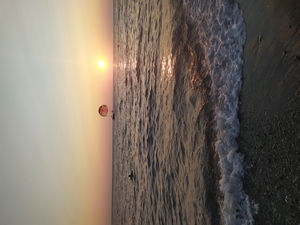 Image-preview_300x200