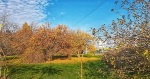 Image-preview_300x200