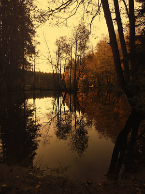 Image-preview_300x200