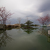 Image-square_50