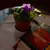 Image-square_50