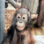 Image-square_50