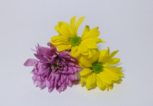 Image-preview_300x200