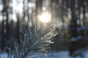 Image-preview_300x200