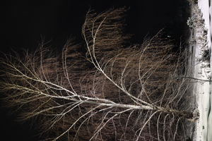 Image-preview_300x200