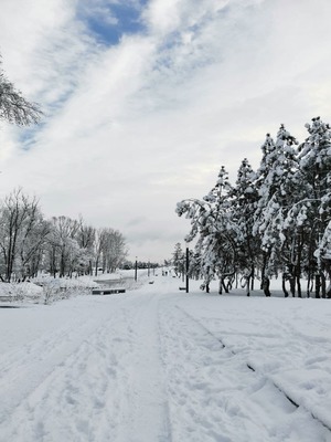 Image-preview_300x200