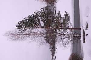 Image-preview_300x200