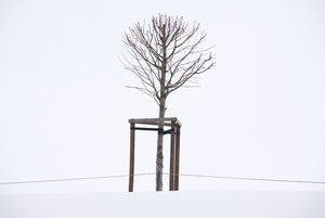 Image-preview_300x200