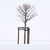 Image-square_50