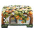 Image-square_50
