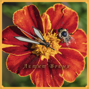 Image-preview_300x200