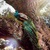 Image-square_50