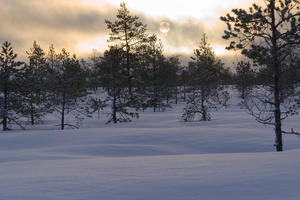 Image-preview_300x200
