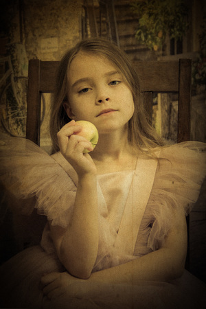 Image-preview_300x200