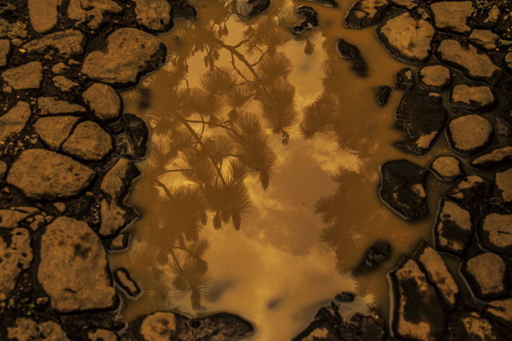 Image-normal