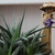 Image-square_50