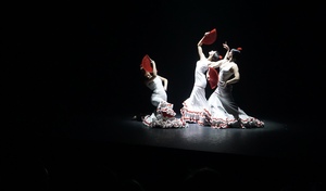 Image-preview_300x200
