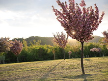 Image-rectangle_220_165