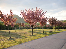 Image-rectangle_220_165