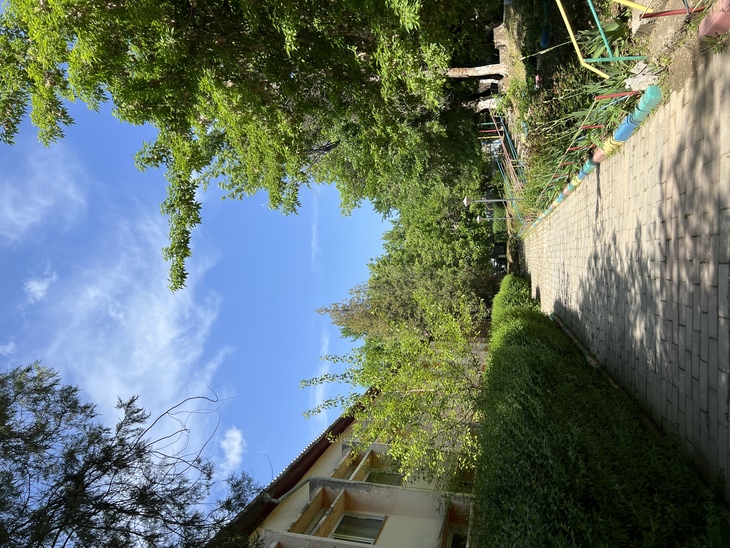 Image-normal