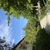 Image-square_50