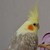Image-square_50