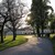 Image-square_50